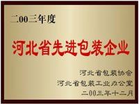 零叁年先进包装企业 零叁年先进包装企业